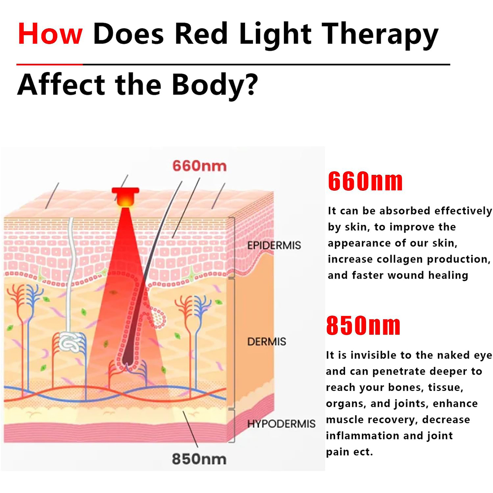 2025 جديد 60 مصباح LED أحمر وأ - مراجعة Galvanic Skin Sensor وسعره